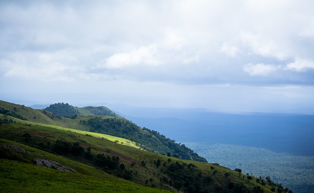 前球队的低 前球队的低