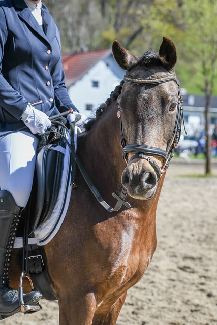 了良好的基 了良好的基