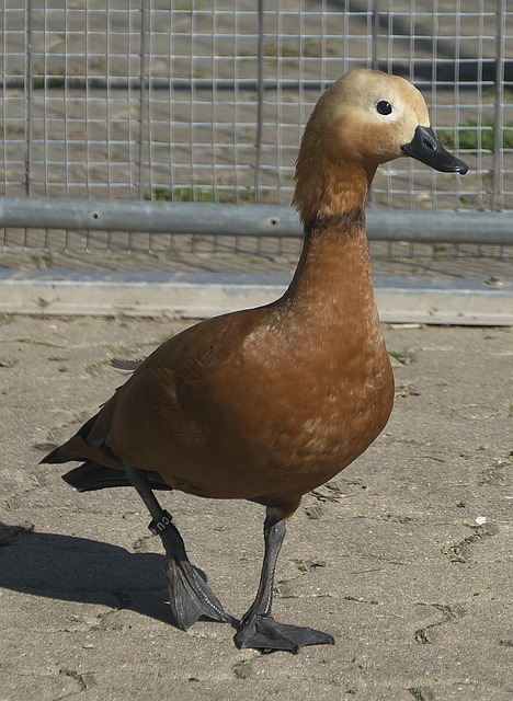 现突破