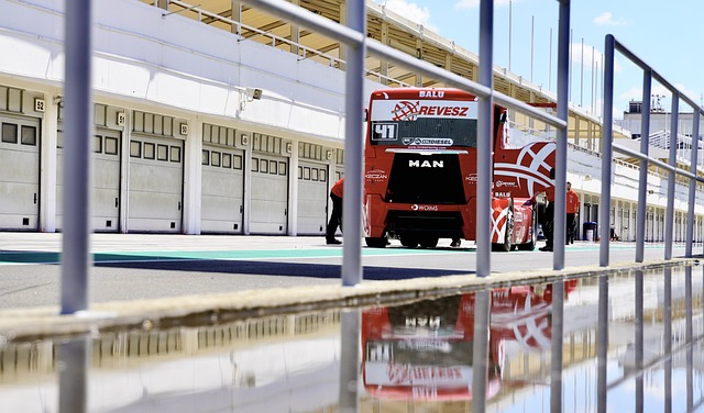 国的年轻球 国的年轻球