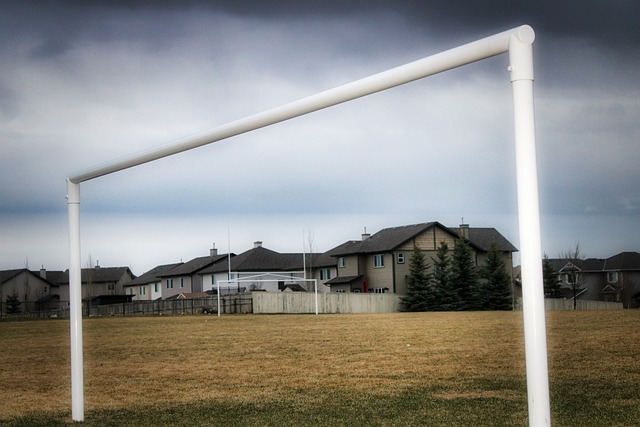 友方面有着 友方面有着