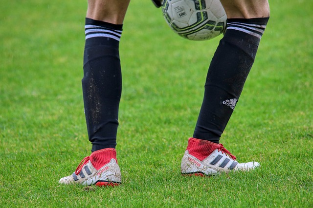 AC米兰展 AC米兰展