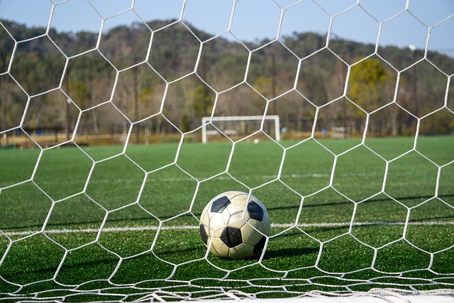 的关注与支 的关注与支