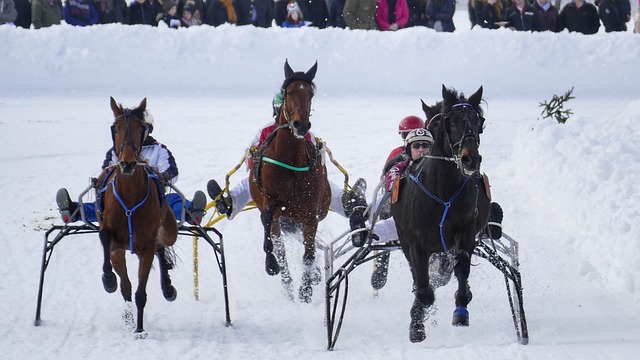 一次又一次 一次又一次