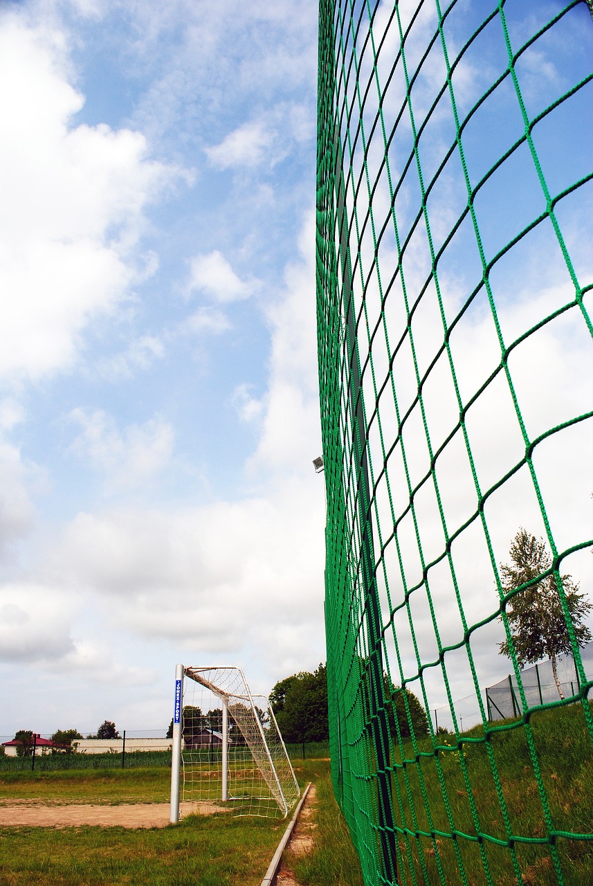 到他父亲的 到他父亲的