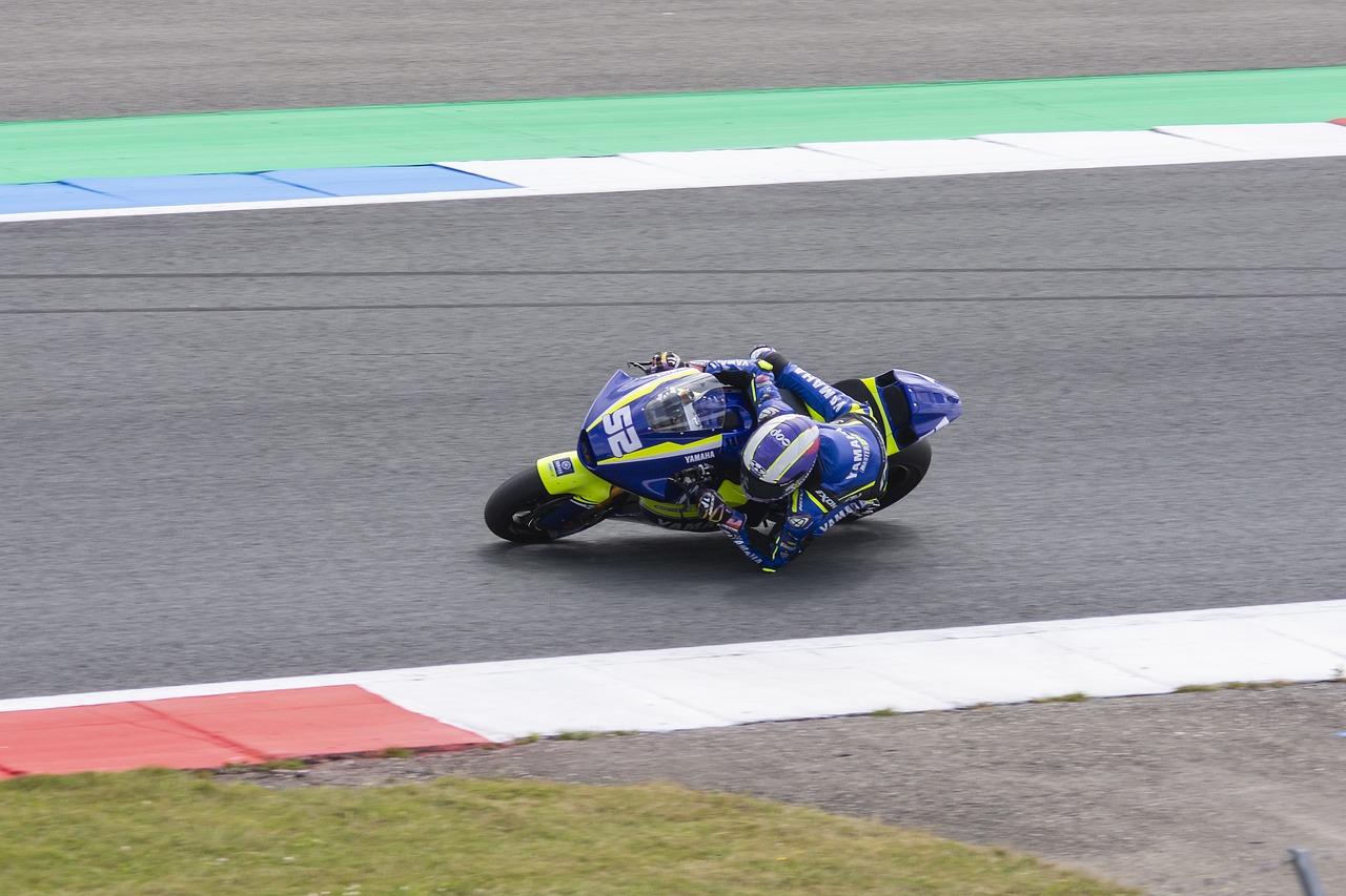 何备受瞩目 何备受瞩目