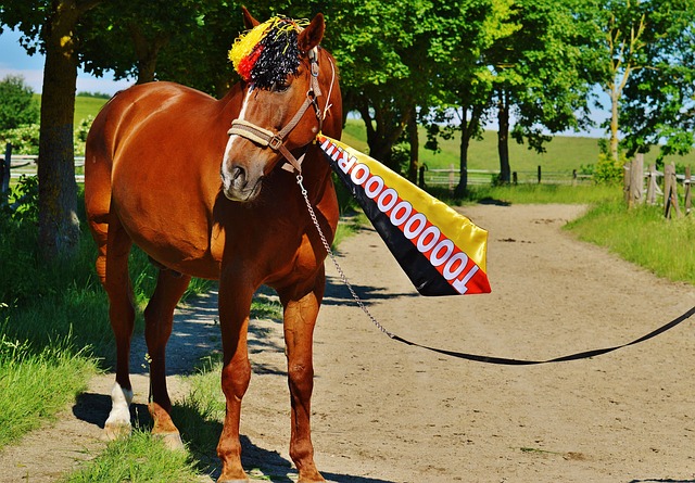 展示出其在 展示出其在