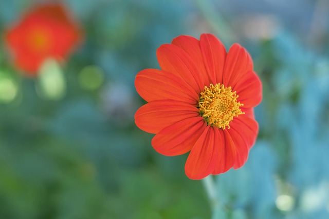 何选择美国 何选择美国